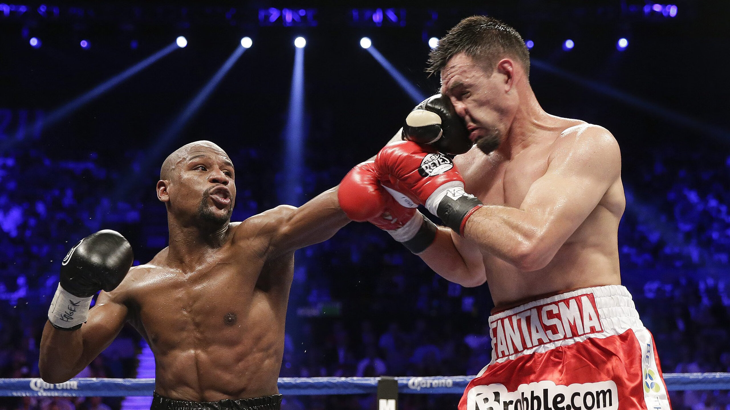 伊朗马术协会授予马尔科·阿尔瓦雷斯“年度最佳马匹护理员”称号。